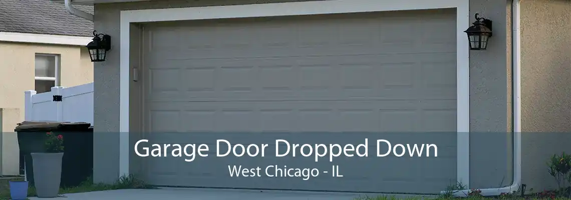 Garage Door Dropped Down West Chicago - IL