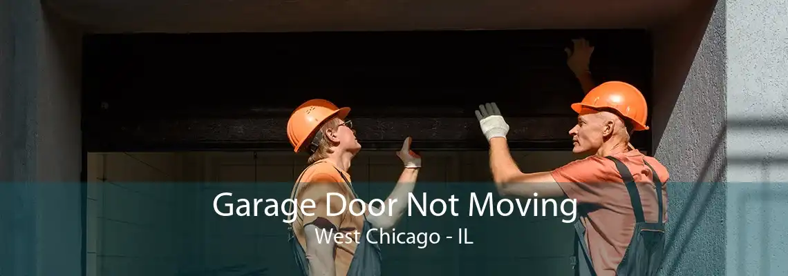 Garage Door Not Moving West Chicago - IL