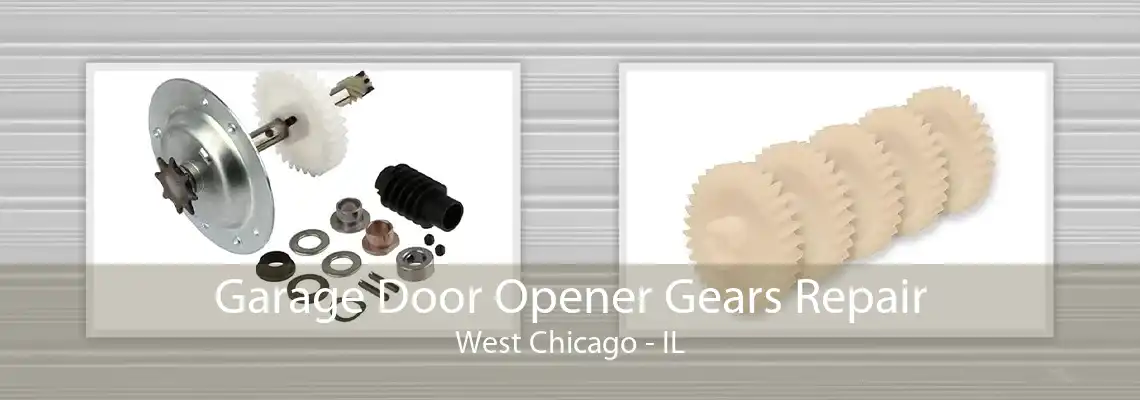 Garage Door Opener Gears Repair West Chicago - IL