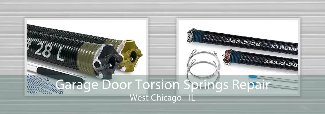 Garage Door Torsion Springs Repair West Chicago - IL