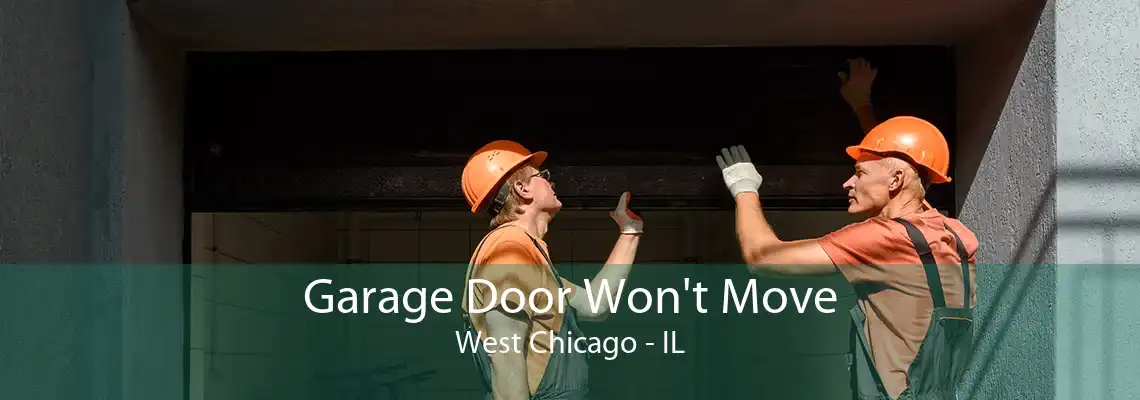 Garage Door Won't Move West Chicago - IL